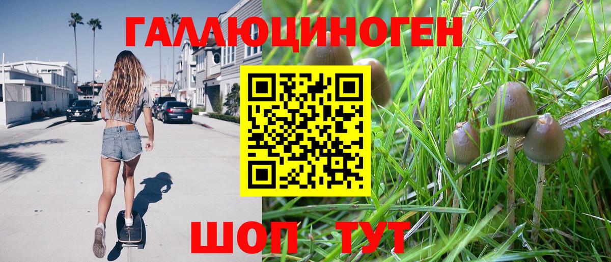 Галлюциногенные грибы мухоморы Семёнов