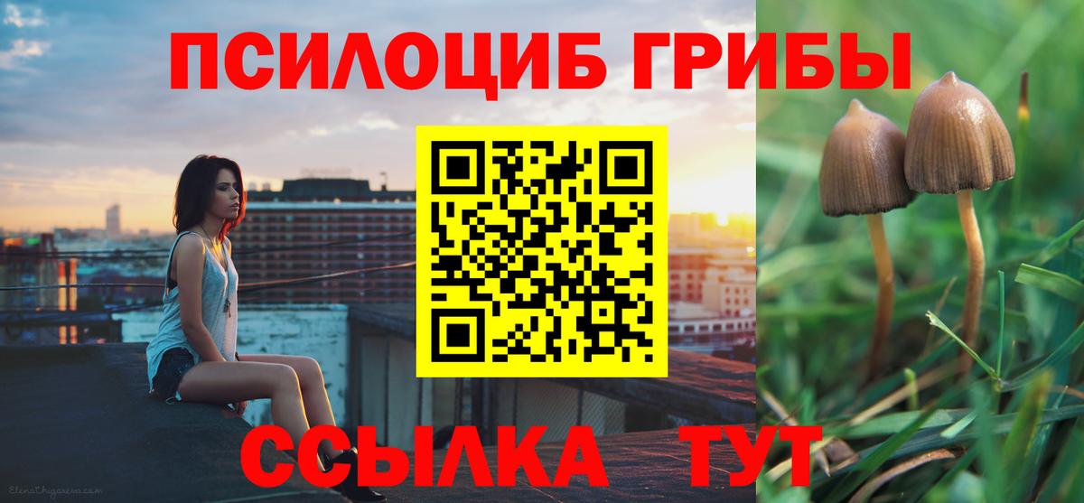 Псилоцибиновые грибы Psilocybe  Псилоцибиновые грибы мицелий  Семёнов  как найти закладки  Вход с VPN 